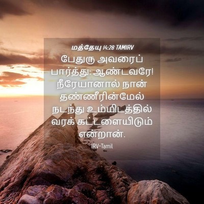 Picture 04 - மத்தேயு 14:28 TAMIRV - பேதுரு அவரைப் - Bible Verse Picture