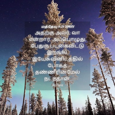 Picture 04 - மத்தேயு 14:29 TAMIRV - அதற்கு அவர்: வா - Bible Verse Picture