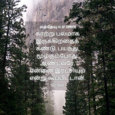 Picture 04 - மத்தேயு 14:30 TAMIRV - காற்று பலமாக - Bible Verse Picture