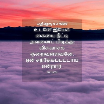 Picture 04 - மத்தேயு 14:31 TAMIRV - உடனே இயேசு கையை - Bible Verse Picture