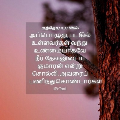Picture 04 - மத்தேயு 14:33 TAMIRV - அப்பொழுது, படகில் - Bible Verse Picture