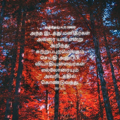 Picture 04 - மத்தேயு 14:35 TAMIRV - அந்த இடத்து - Bible Verse Picture