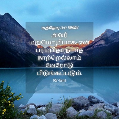 Picture 04 - மத்தேயு 15:13 TAMIRV - அவர் மறுமொழியாக: - Bible Verse Picture