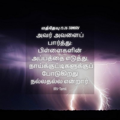 Picture 04 - மத்தேயு 15:26 TAMIRV - அவர் அவளைப் - Bible Verse Picture