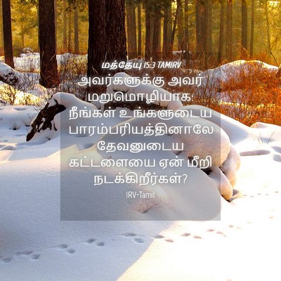Picture 04 - மத்தேயு 15:3 TAMIRV - அவர்களுக்கு அவர் - Bible Verse Picture