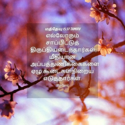 Picture 04 - மத்தேயு 15:37 TAMIRV - எல்லோரும் - Bible Verse Picture