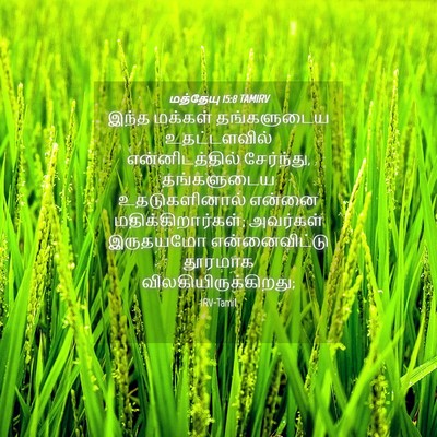 Picture 04 - மத்தேயு 15:8 TAMIRV - இந்த மக்கள் - Bible Verse Picture