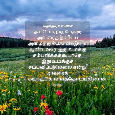 Picture 04 - மத்தேயு 16:22 TAMIRV - அப்பொழுது, பேதுரு - Bible Verse Picture