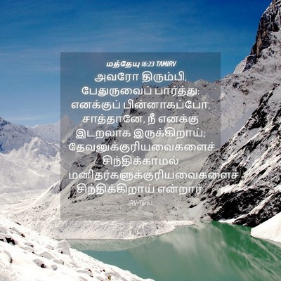 Picture 04 - மத்தேயு 16:23 TAMIRV - அவரோ திரும்பி, - Bible Verse Picture