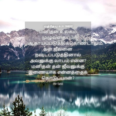 Picture 04 - மத்தேயு 16:26 TAMIRV - மனிதன் உலகம் - Bible Verse Picture