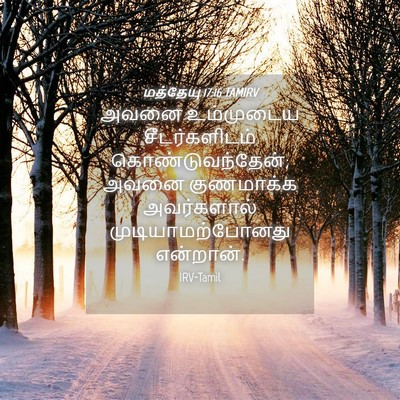 Picture 04 - மத்தேயு 17:16 TAMIRV - அவனை உம்முடைய - Bible Verse Picture