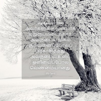 Picture 04 - மத்தேயு 17:2 TAMIRV - அவர்களுக்கு - Bible Verse Picture