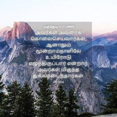 Picture 04 - மத்தேயு 17:23 TAMIRV - அவர்கள் அவரைக் - Bible Verse Picture