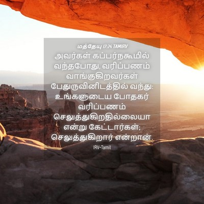 Picture 04 - மத்தேயு 17:24 TAMIRV - அவர்கள் - Bible Verse Picture