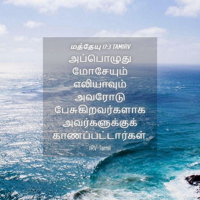 Picture 04 - மத்தேயு 17:3 TAMIRV - அப்பொழுது - Bible Verse Picture