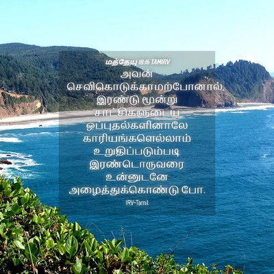 Picture 04 - மத்தேயு 18:16 TAMIRV - அவன் - Bible Verse Picture