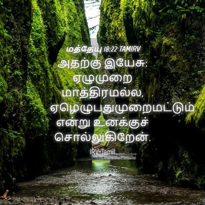 Picture 04 - மத்தேயு 18:22 TAMIRV - அதற்கு இயேசு: - Bible Verse Picture