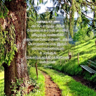 Picture 04 - மத்தேயு 18:26 TAMIRV - அப்பொழுது, அந்த - Bible Verse Picture