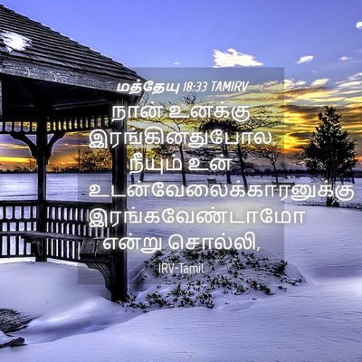 Picture 04 - மத்தேயு 18:33 TAMIRV - நான் உனக்கு - Bible Verse Picture