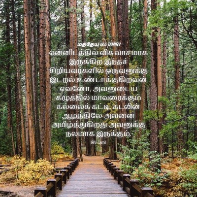 Picture 04 - மத்தேயு 18:6 TAMIRV - என்னிடத்தில் - Bible Verse Picture