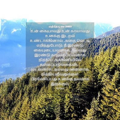 Picture 04 - மத்தேயு 18:8 TAMIRV - உன் கையாவது உன் - Bible Verse Picture
