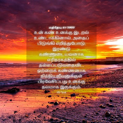 Picture 04 - மத்தேயு 18:9 TAMIRV - உன் கண் உனக்கு - Bible Verse Picture