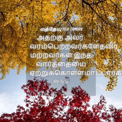 Picture 04 - மத்தேயு 19:11 TAMIRV - அதற்கு அவர்: - Bible Verse Picture