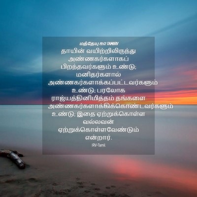 Picture 04 - மத்தேயு 19:12 TAMIRV - தாயின் - Bible Verse Picture