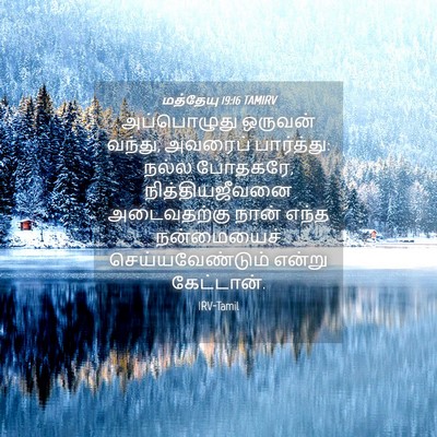 Picture 04 - மத்தேயு 19:16 TAMIRV - அப்பொழுது ஒருவன் - Bible Verse Picture