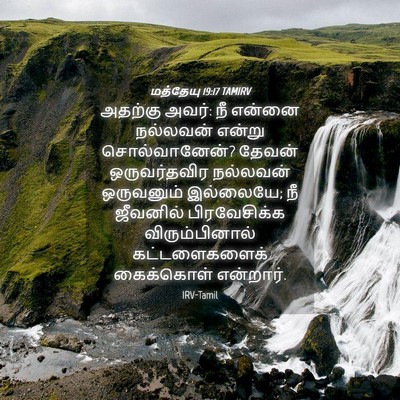 Picture 04 - மத்தேயு 19:17 TAMIRV - அதற்கு அவர்: நீ - Bible Verse Picture