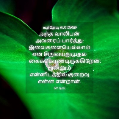 Picture 04 - மத்தேயு 19:20 TAMIRV - அந்த வாலிபன் - Bible Verse Picture