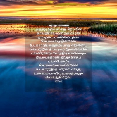 Picture 04 - மத்தேயு 19:28 TAMIRV - அதற்கு இயேசு: - Bible Verse Picture