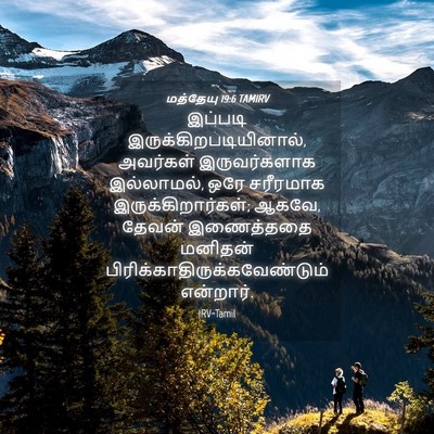 Picture 04 - மத்தேயு 19:6 TAMIRV - இப்படி - Bible Verse Picture