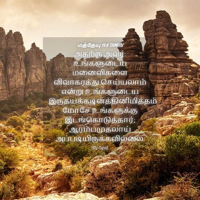 Picture 04 - மத்தேயு 19:8 TAMIRV - அதற்கு அவர்: - Bible Verse Picture