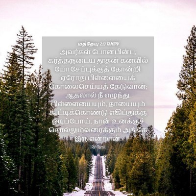 Picture 04 - மத்தேயு 2:13 TAMIRV - அவர்கள் - Bible Verse Picture