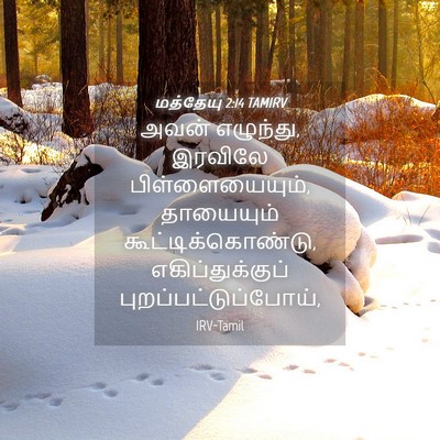 Picture 04 - மத்தேயு 2:14 TAMIRV - அவன் எழுந்து, - Bible Verse Picture