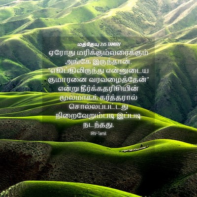 Picture 04 - மத்தேயு 2:15 TAMIRV - ஏரோது - Bible Verse Picture