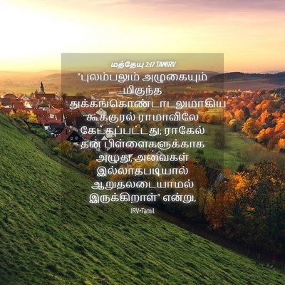 Picture 04 - மத்தேயு 2:17 TAMIRV - “புலம்பலும் - Bible Verse Picture