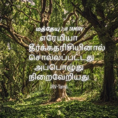 Picture 04 - மத்தேயு 2:18 TAMIRV - எரேமியா - Bible Verse Picture