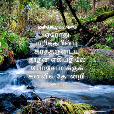 Picture 04 - மத்தேயு 2:19 TAMIRV - ஏரோது - Bible Verse Picture