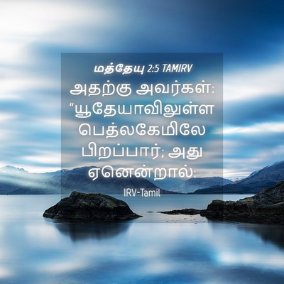 Picture 04 - மத்தேயு 2:5 TAMIRV - அதற்கு அவர்கள்: - Bible Verse Picture
