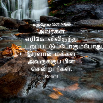 Picture 04 - மத்தேயு 20:29 TAMIRV - அவர்கள் - Bible Verse Picture
