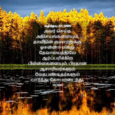 Picture 04 - மத்தேயு 21:15 TAMIRV - அவர் செய்த - Bible Verse Picture