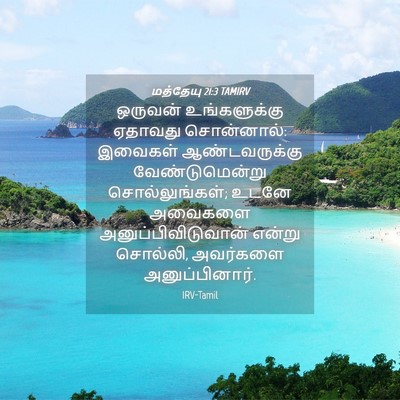 Picture 04 - மத்தேயு 21:3 TAMIRV - ஒருவன் உங்களுக்கு - Bible Verse Picture