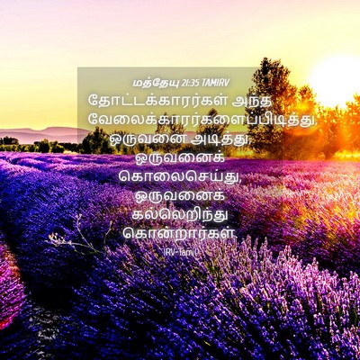 Picture 04 - மத்தேயு 21:35 TAMIRV - தோட்டக்காரர்கள் - Bible Verse Picture