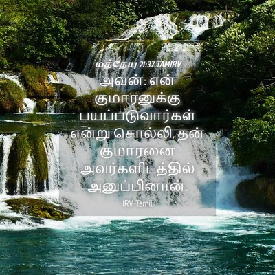 Picture 04 - மத்தேயு 21:37 TAMIRV - அவன்: என் - Bible Verse Picture