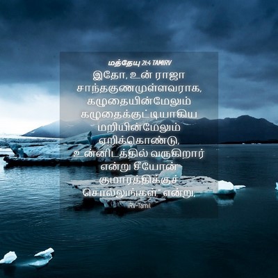Picture 04 - மத்தேயு 21:4 TAMIRV - இதோ, உன் ராஜா - Bible Verse Picture