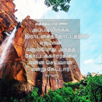 Picture 04 - மத்தேயு 21:40 TAMIRV - அப்படியிருக்க, - Bible Verse Picture