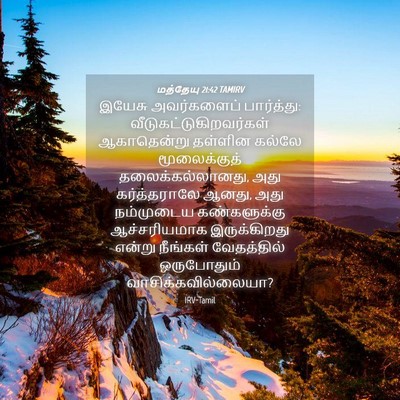 Picture 04 - மத்தேயு 21:42 TAMIRV - இயேசு அவர்களைப் - Bible Verse Picture