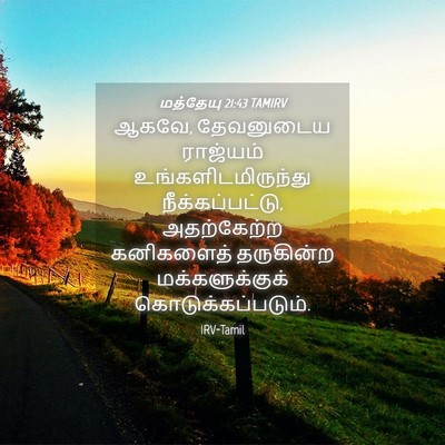 Picture 04 - மத்தேயு 21:43 TAMIRV - ஆகவே, தேவனுடைய - Bible Verse Picture